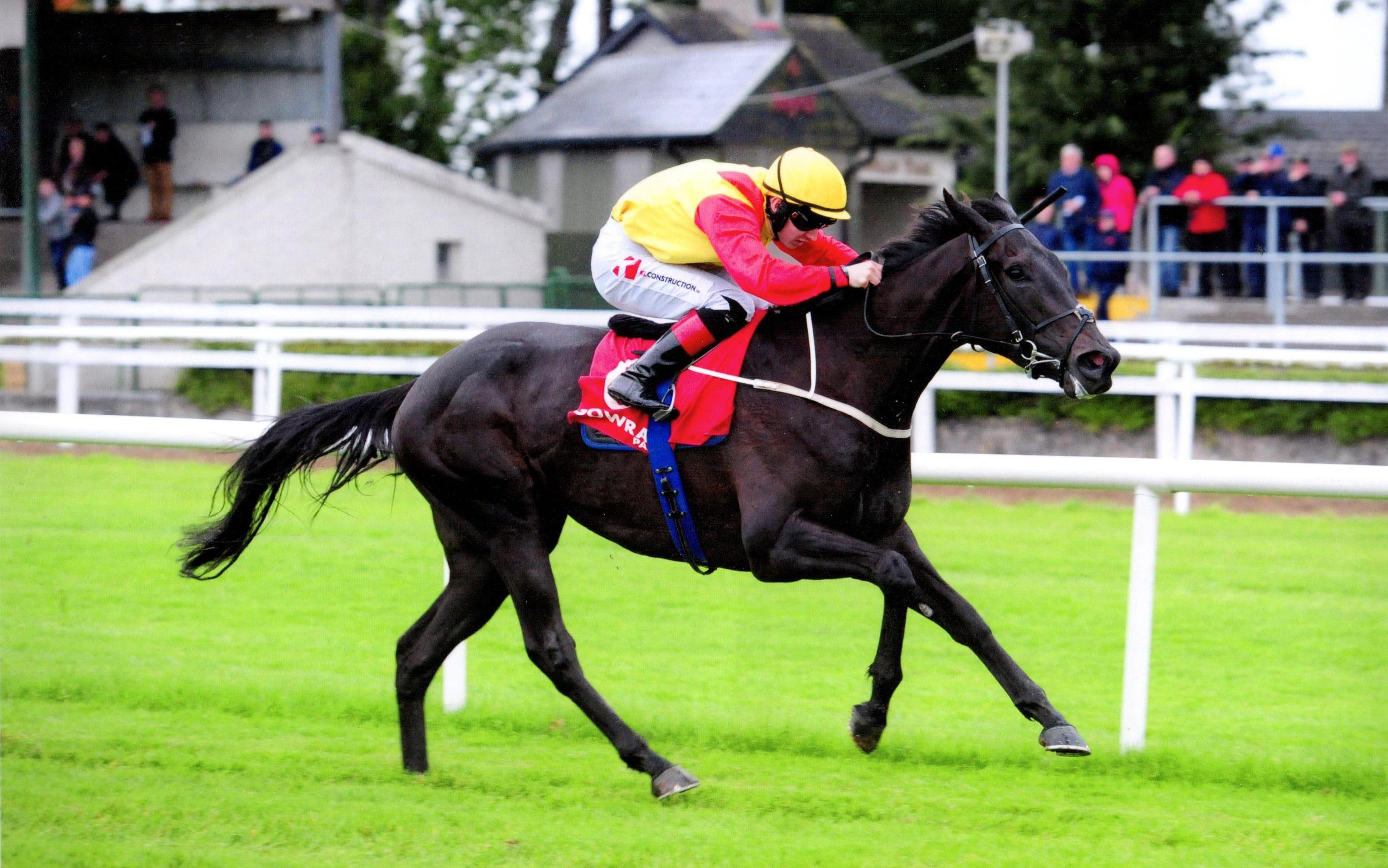 ERRATC PATH wins his maiden in fine style at Gowran Park 16th September 2017